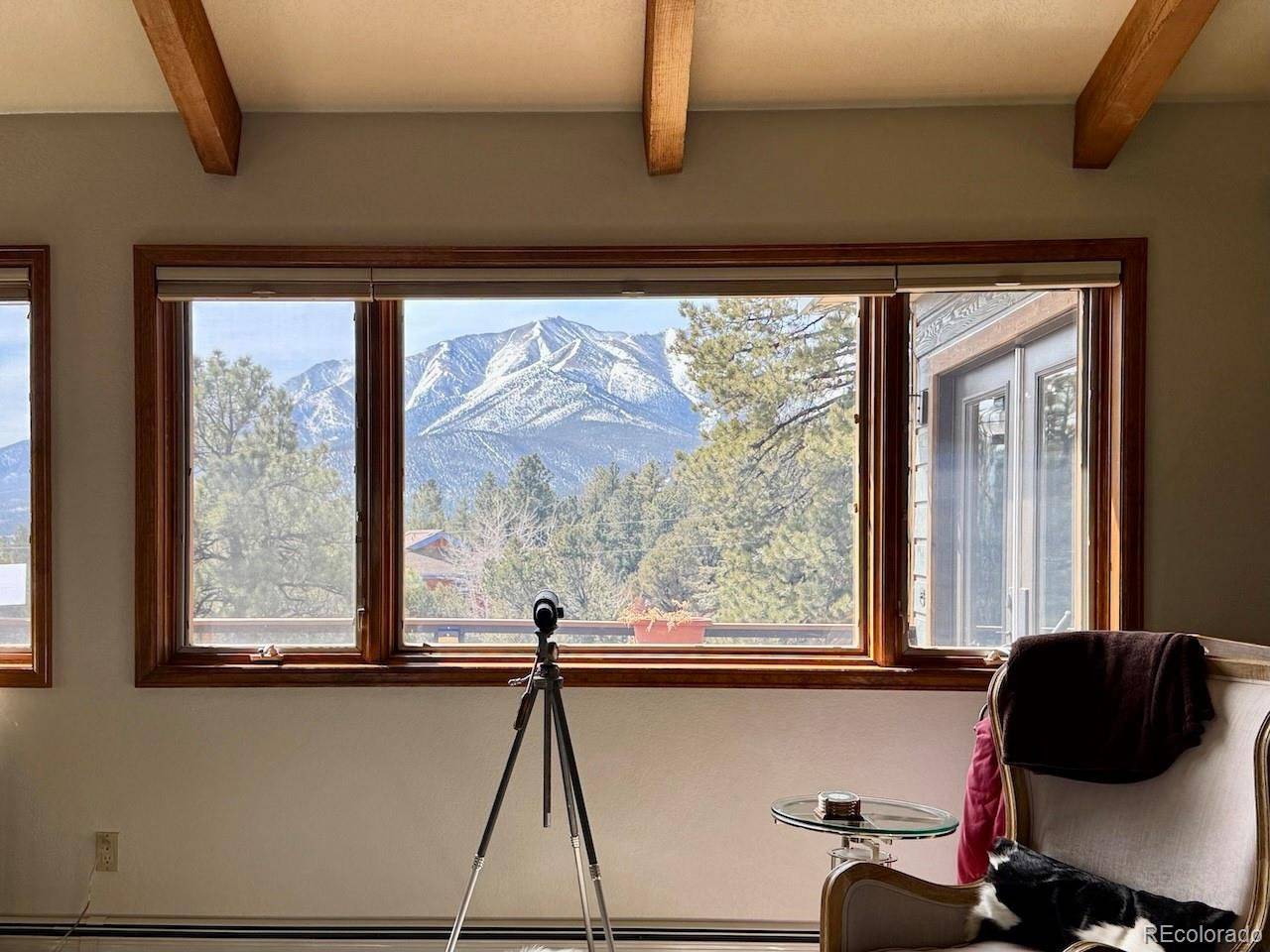 18165 Alta Vista, Buena Vista, CO 81211