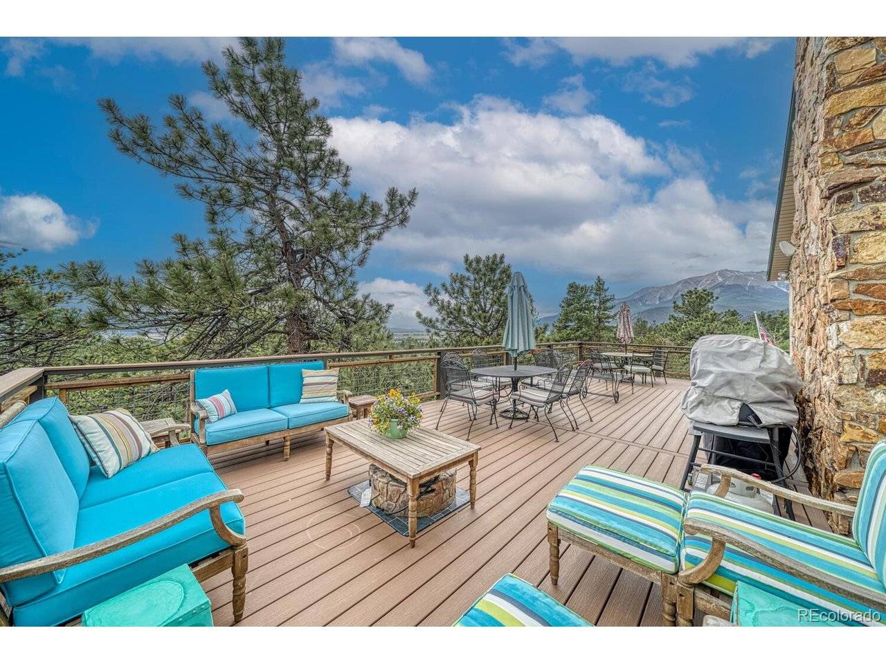 18165 Alta Vista, Buena Vista, CO 81211