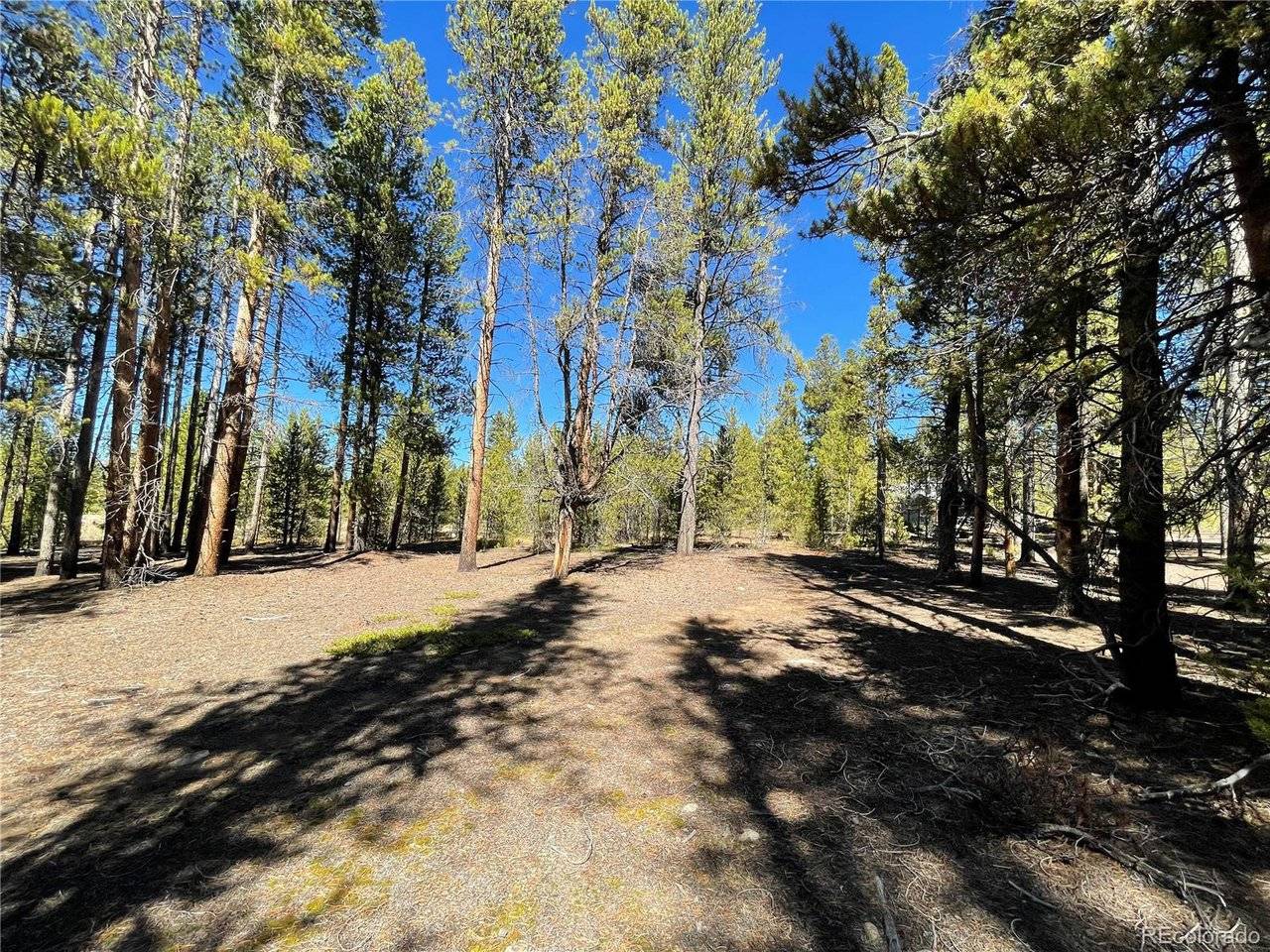 300 Virginia, Leadville, CO 80461