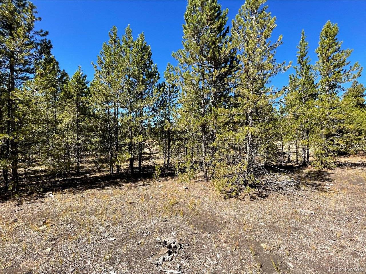 300 Virginia, Leadville, CO 80461