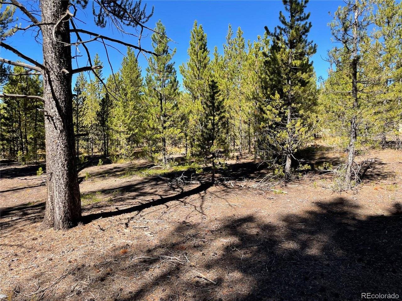 300 Virginia, Leadville, CO 80461