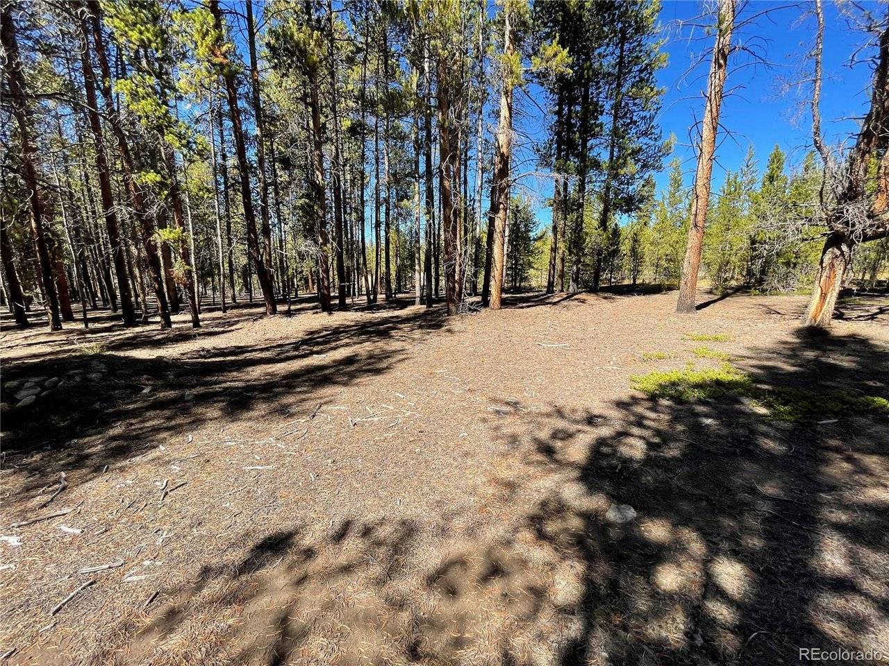 300 Virginia, Leadville, CO 80461
