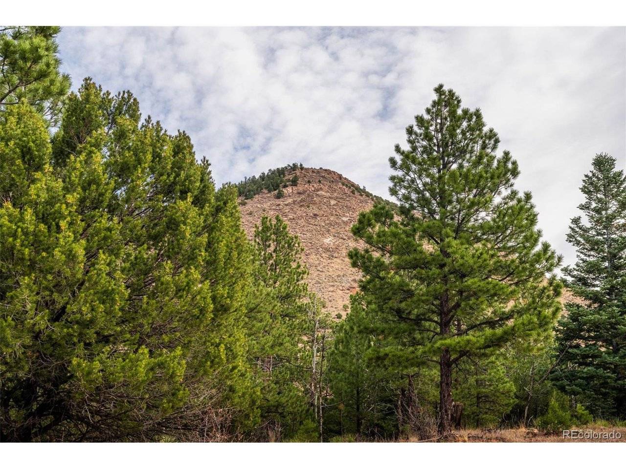 881 Vista De Aspen, Westcliffe, CO 81252