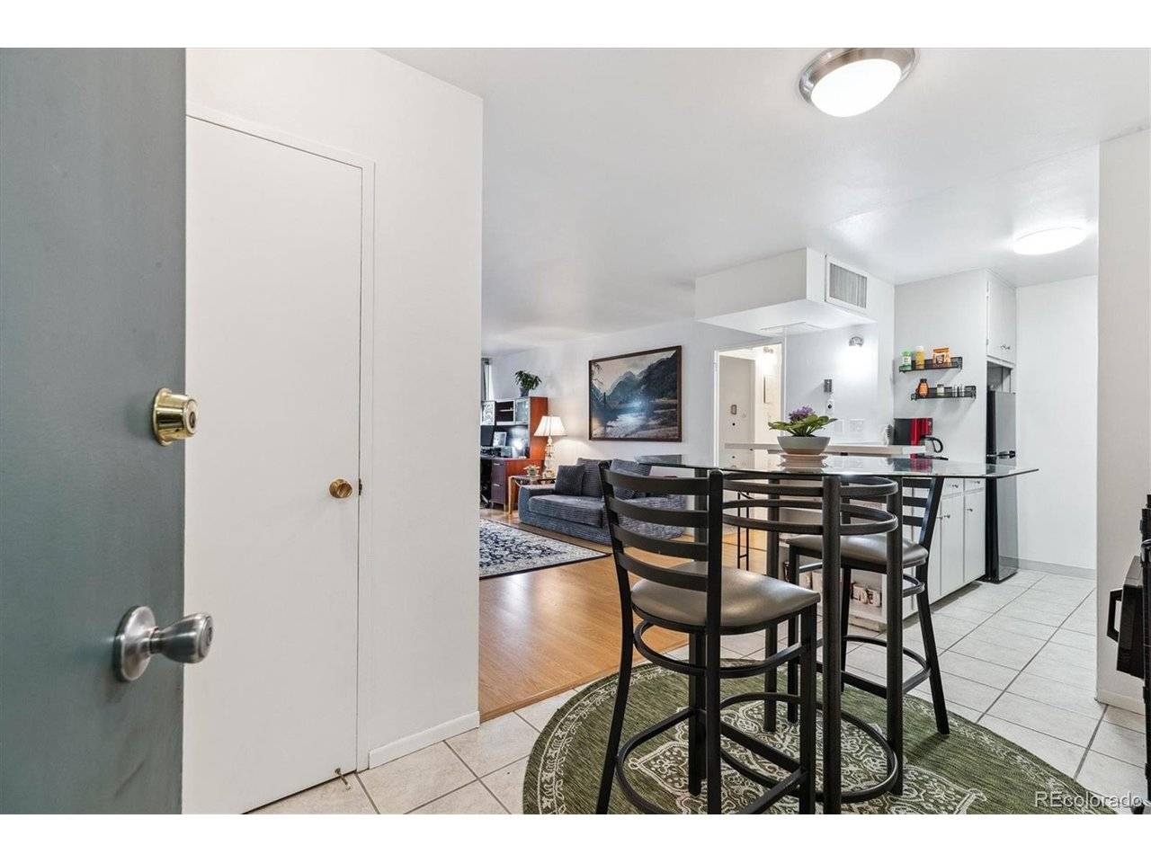 790 N Washington #305, Denver, CO 80203