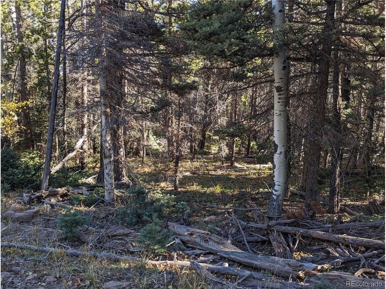 3067 Forbes Park, Fort Garland, CO 81133