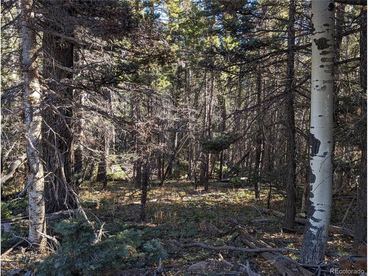 3067 Forbes Park, Fort Garland, CO 81133