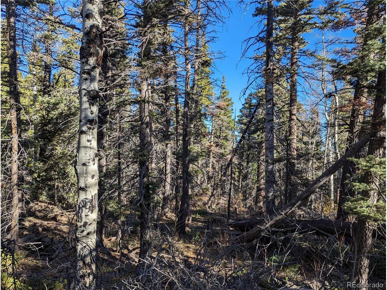 3067 Forbes Park, Fort Garland, CO 81133
