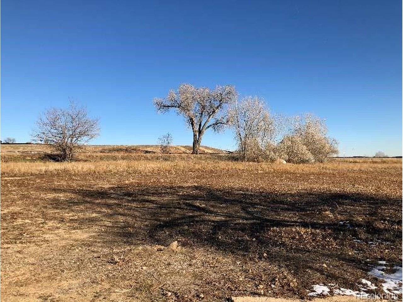 10012 N 119th, Longmont, CO 80501