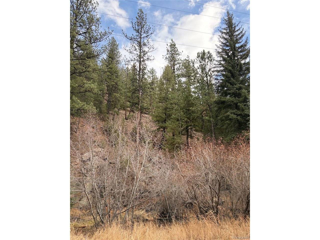 0 S Elk Creek, Pine, CO 80470