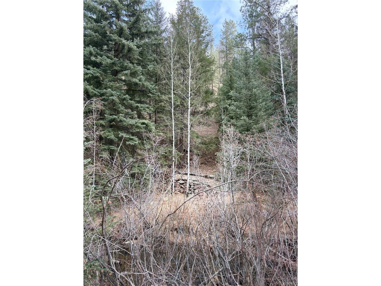 0 S Elk Creek, Pine, CO 80470
