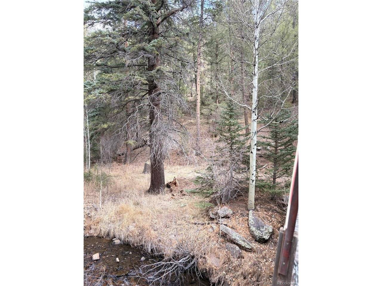 0 S Elk Creek, Pine, CO 80470