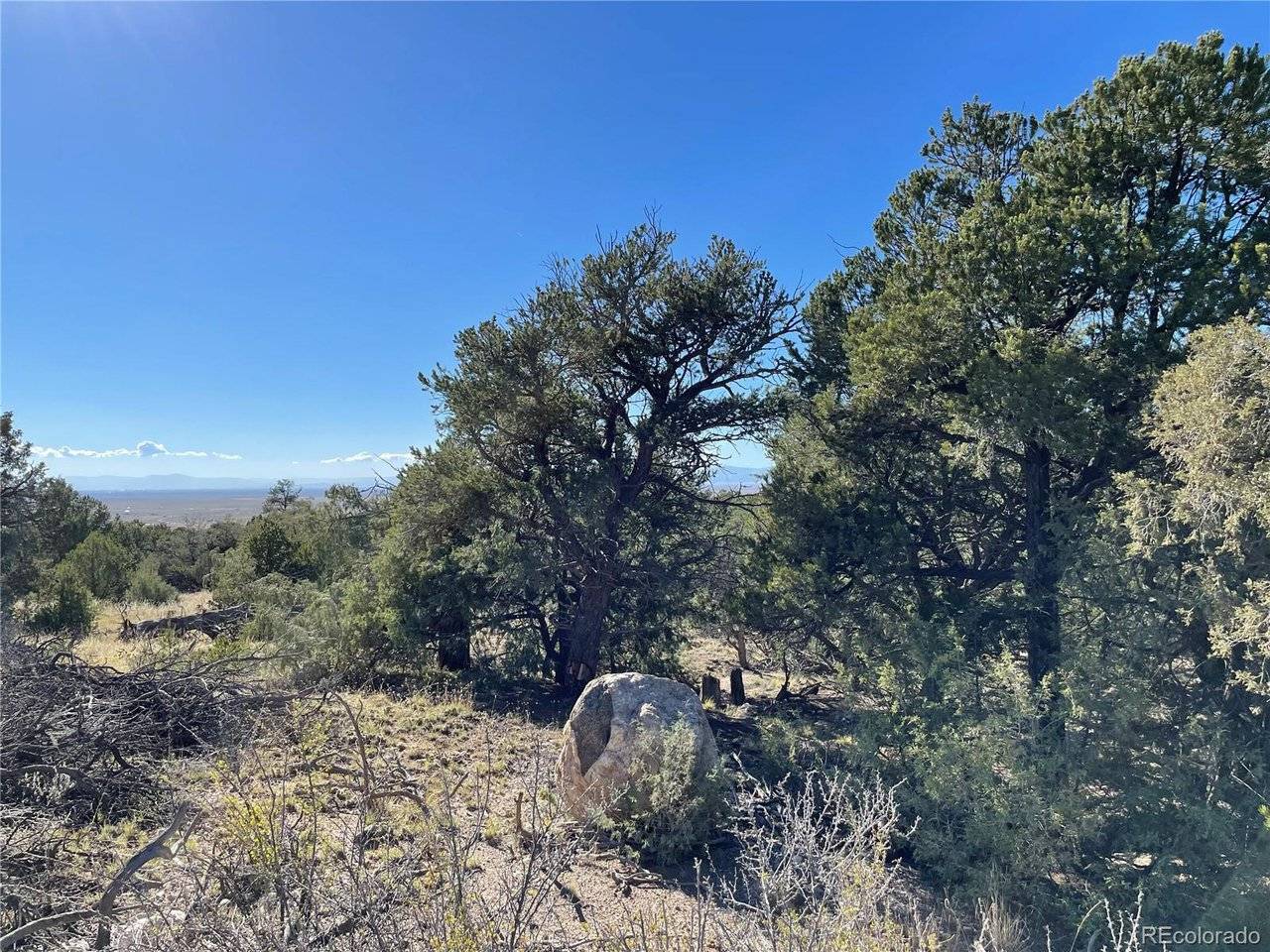 1919 Lone Pine, Crestone, CO 81131