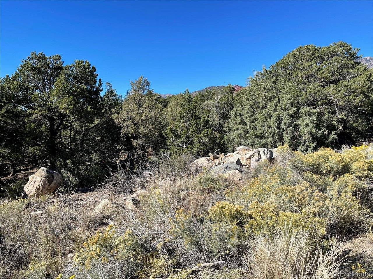 1919 Lone Pine, Crestone, CO 81131