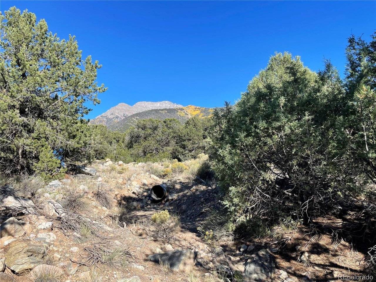 1919 Lone Pine, Crestone, CO 81131