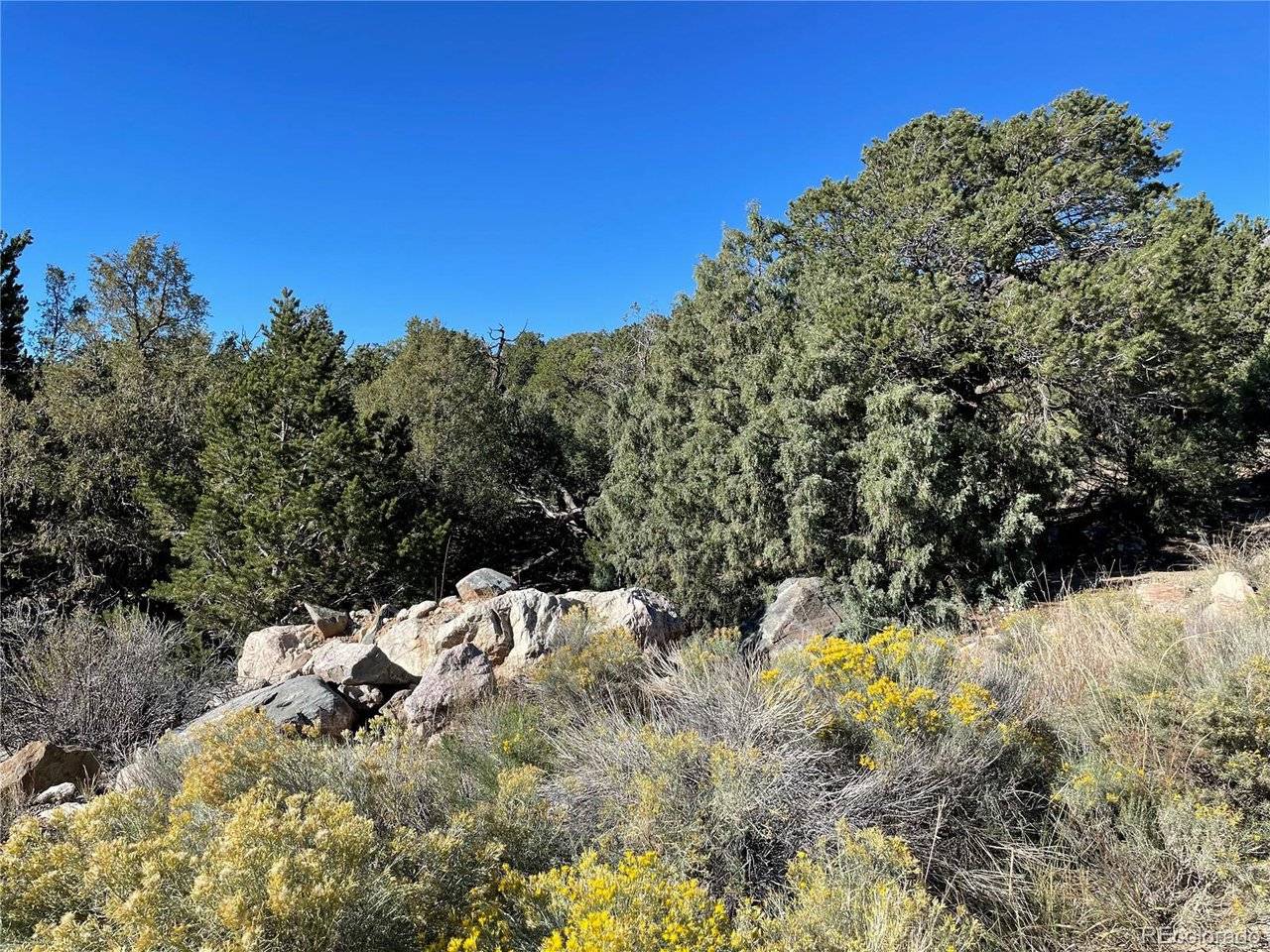 1919 Lone Pine, Crestone, CO 81131