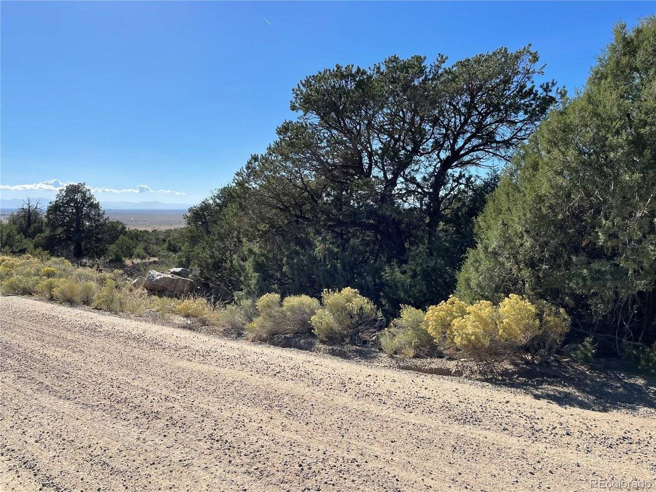 1919 Lone Pine, Crestone, CO 81131