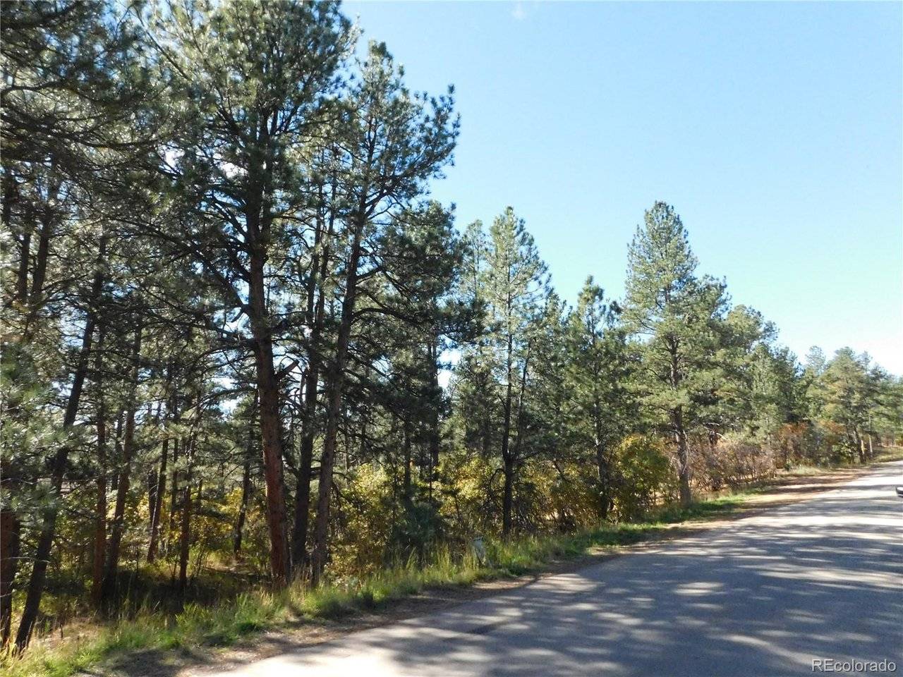 682 Copper Fox, Larkspur, CO 80118
