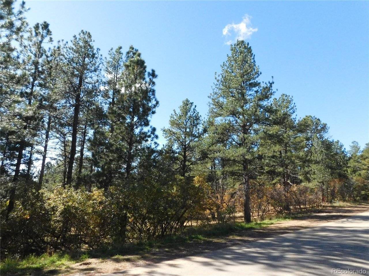 682 Copper Fox, Larkspur, CO 80118