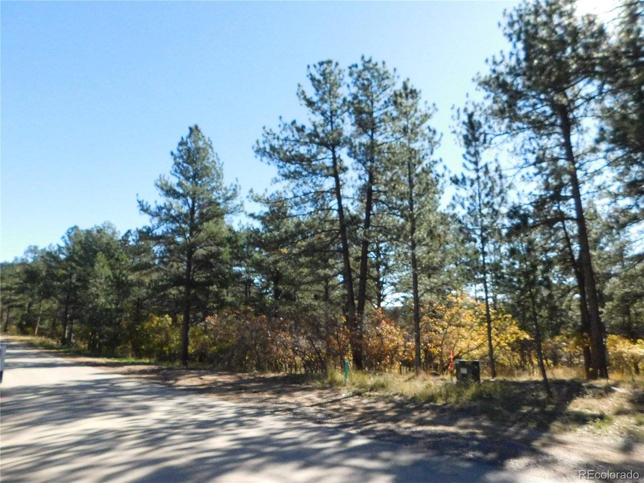 682 Copper Fox, Larkspur, CO 80118