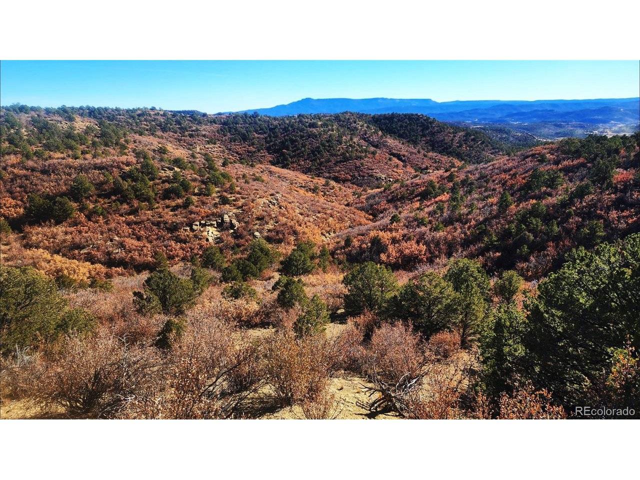 11298 Primero, Trinidad, CO 81082