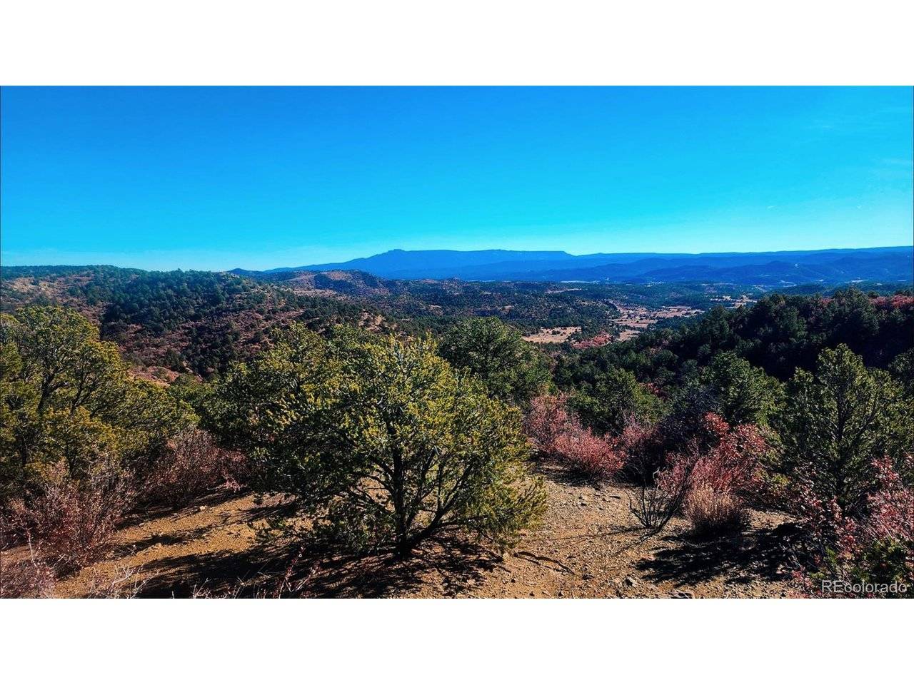 11298 Primero, Trinidad, CO 81082