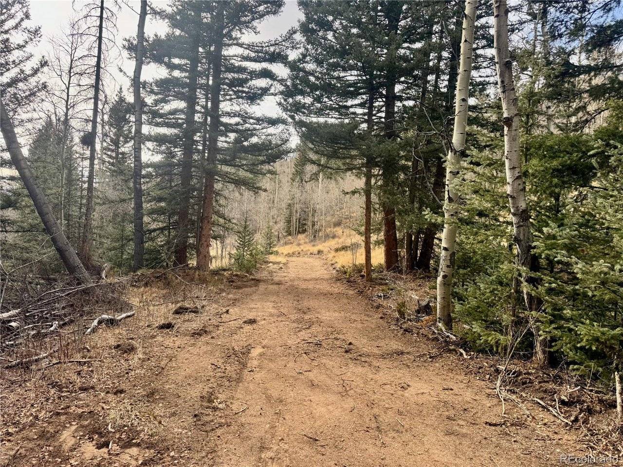 Ryland, San Luis, CO 81152