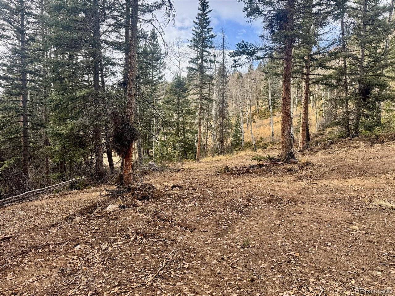 Ryland, San Luis, CO 81152
