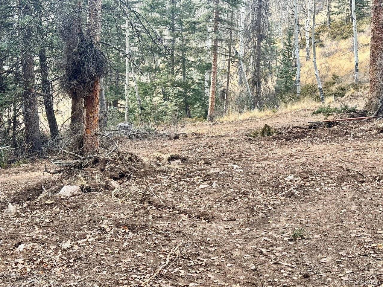 Ryland, San Luis, CO 81152