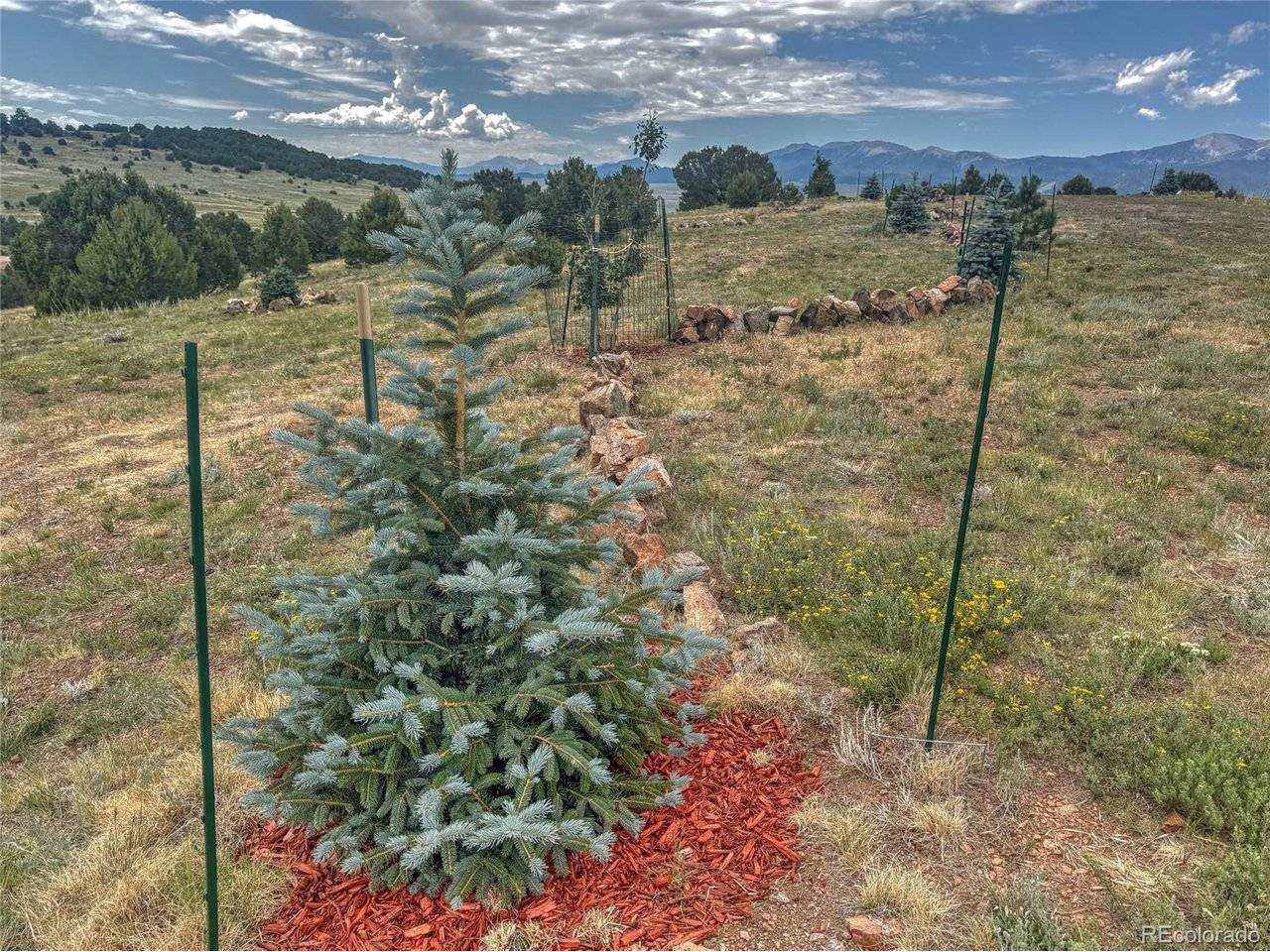 21 Kiowa, Westcliffe, CO 81252