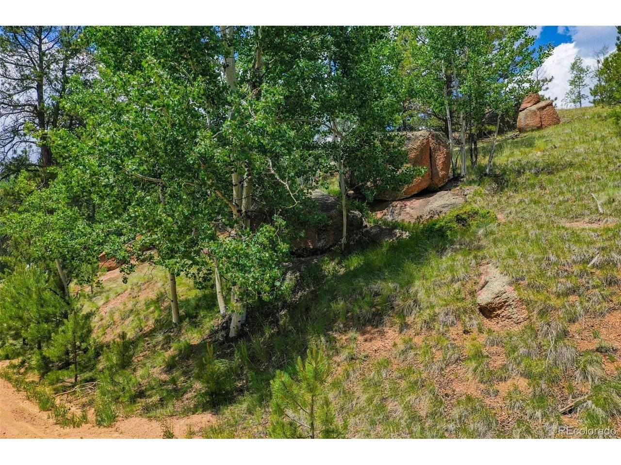 525 Spring Valley, Florissant, CO 80816