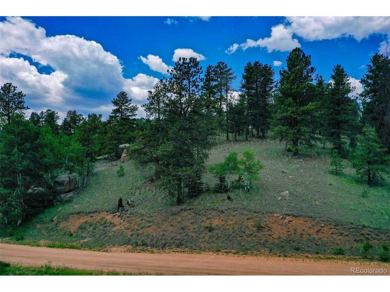 525 Spring Valley, Florissant, CO 80816