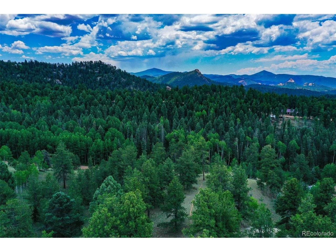 525 Spring Valley, Florissant, CO 80816