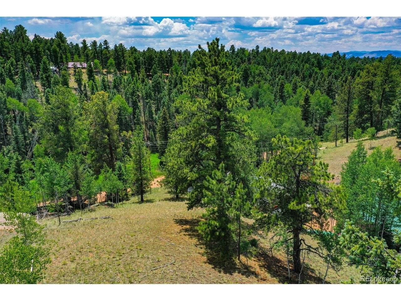 525 Spring Valley, Florissant, CO 80816