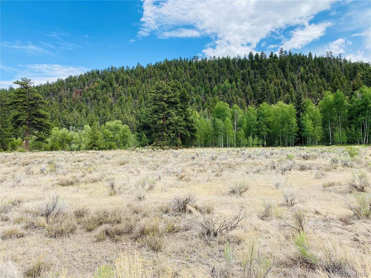 7 Massey Creek, Antonito, CO 81120