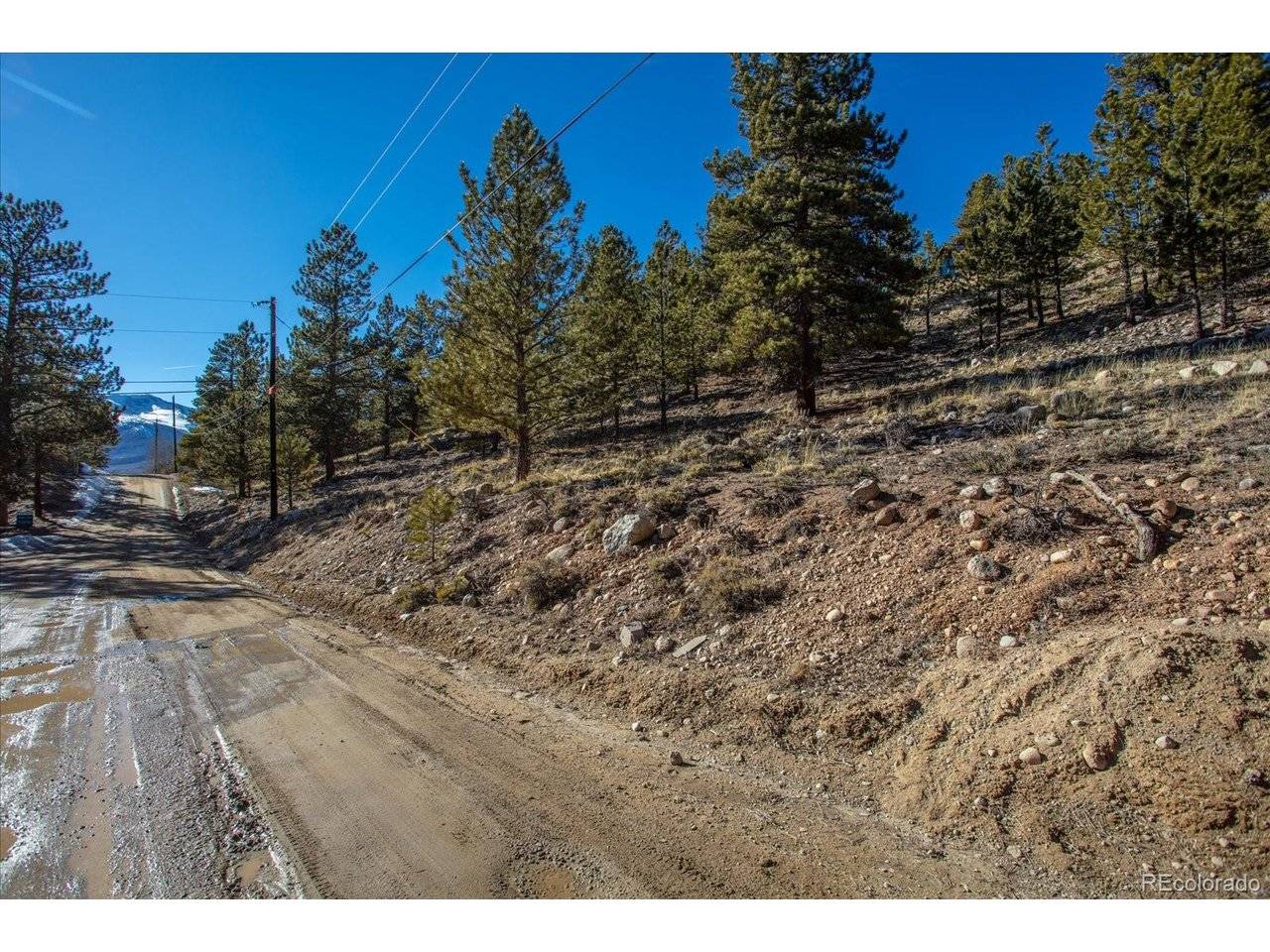 123 La Plata Peak, Twin Lakes, CO 81251