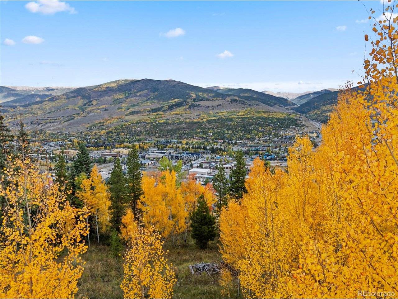 Address not disclosed, Silverthorne, CO 80498