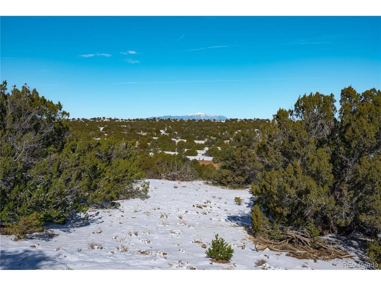 817 Huajatolla, Walsenburg, CO 81089