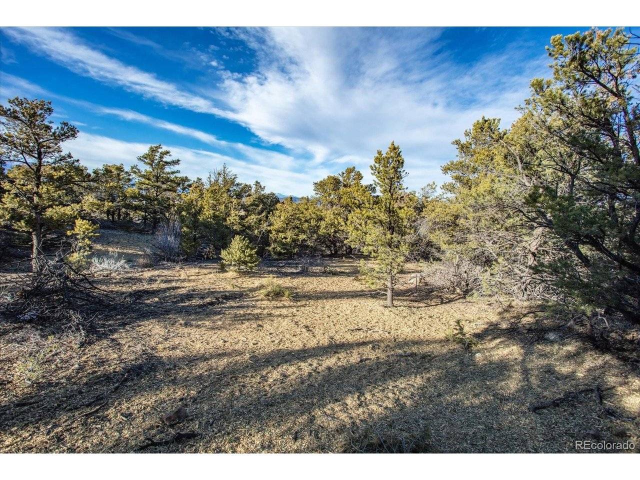 5450 Longbranch, Salida, CO 81201