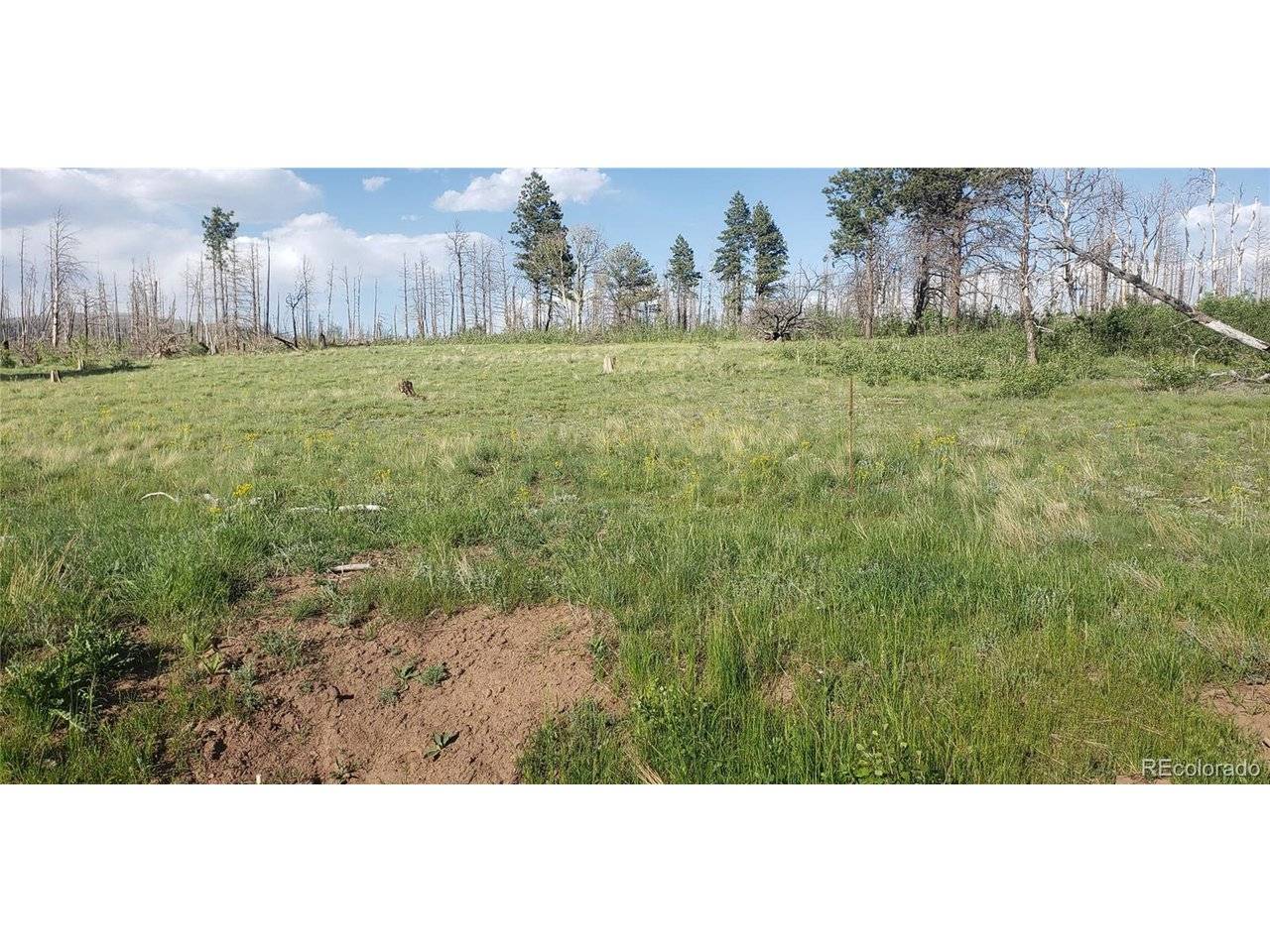 Address not disclosed, Fort Garland, CO 81133