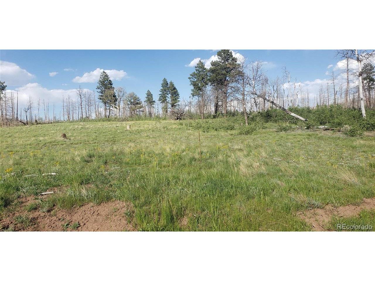 Address not disclosed, Fort Garland, CO 81133