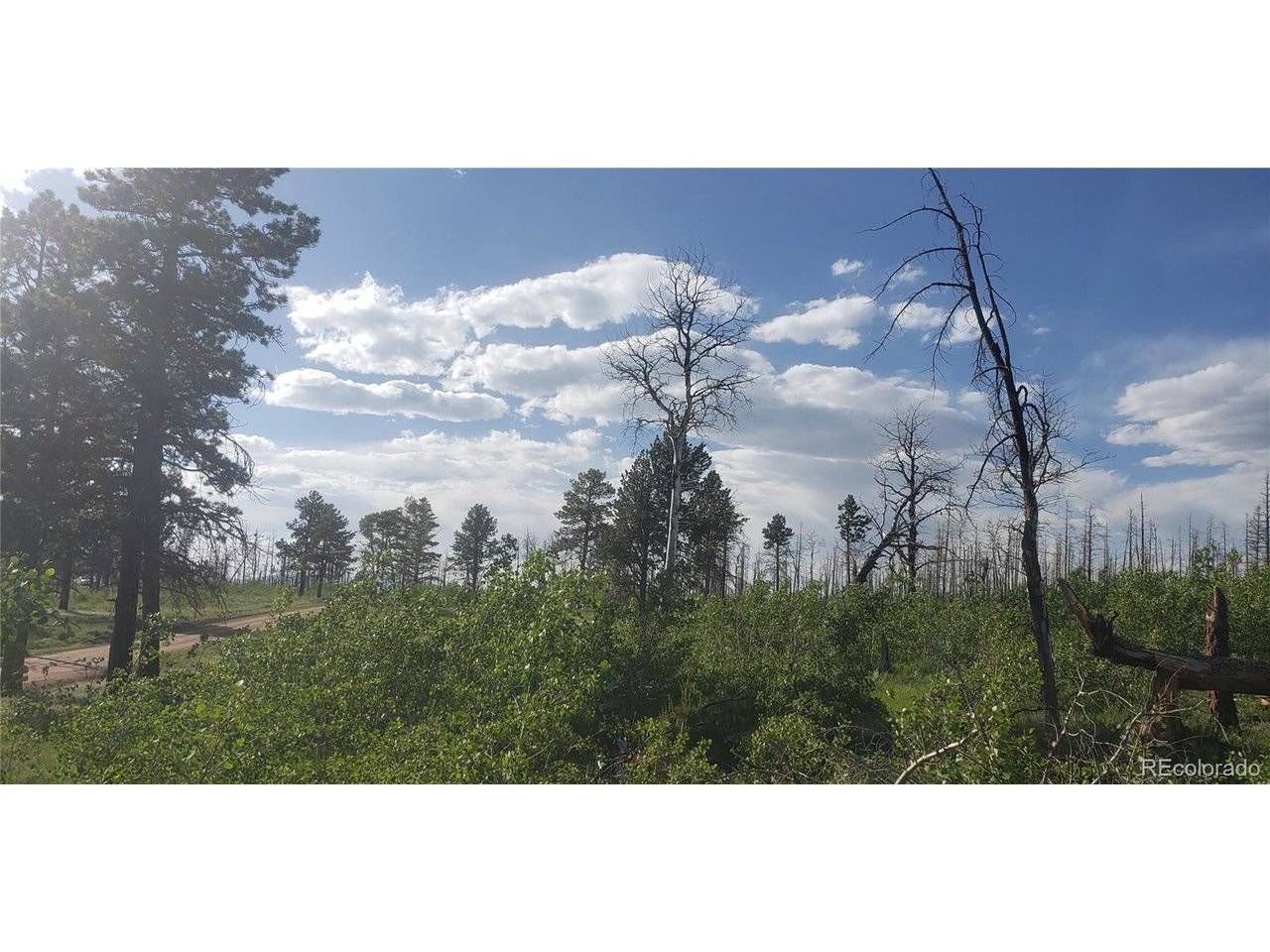 Address not disclosed, Fort Garland, CO 81133