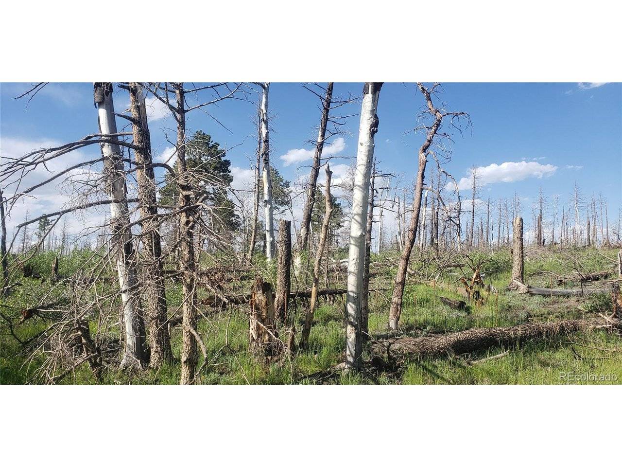 Address not disclosed, Fort Garland, CO 81133