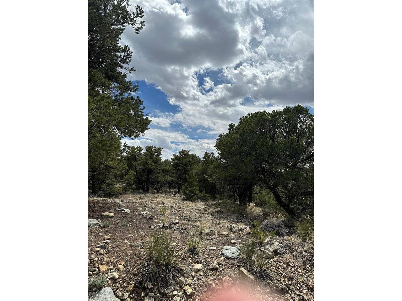 158 Cedar Ridge, Mosca, CO 81146