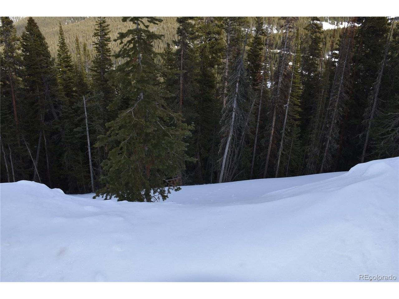 404 Carroll, Breckenridge, CO 80424