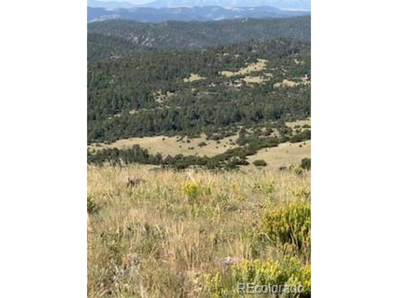 Flat Top Drive, Canon City, CO 81212