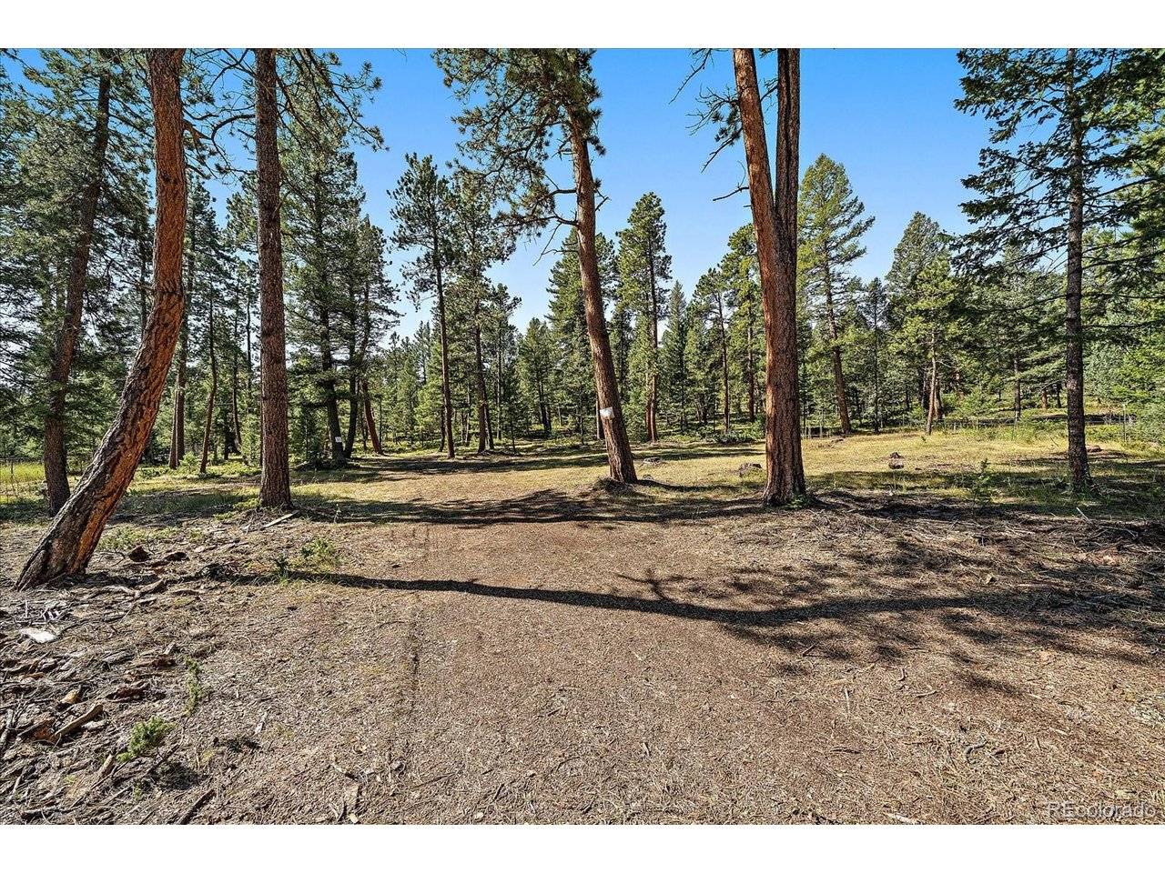 0 Evergreen, Conifer, CO 80433