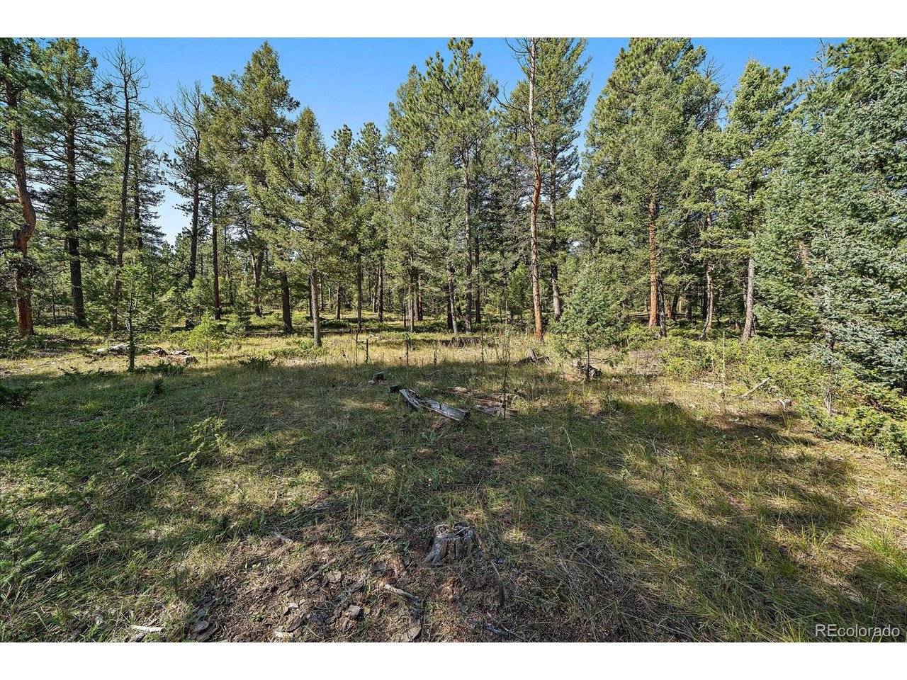 0 Evergreen, Conifer, CO 80433