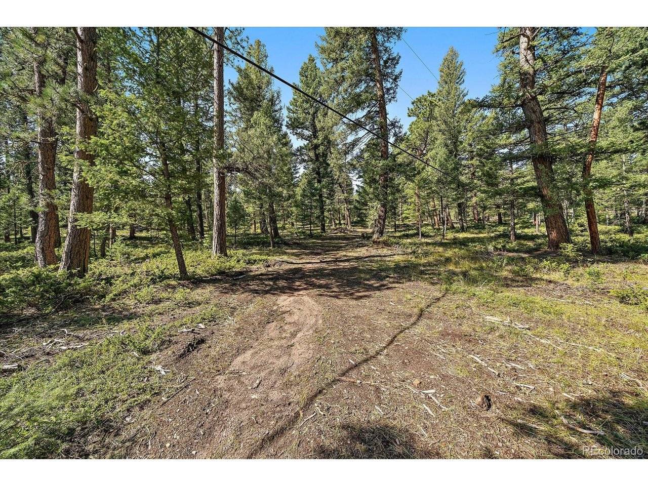 0 Evergreen, Conifer, CO 80433