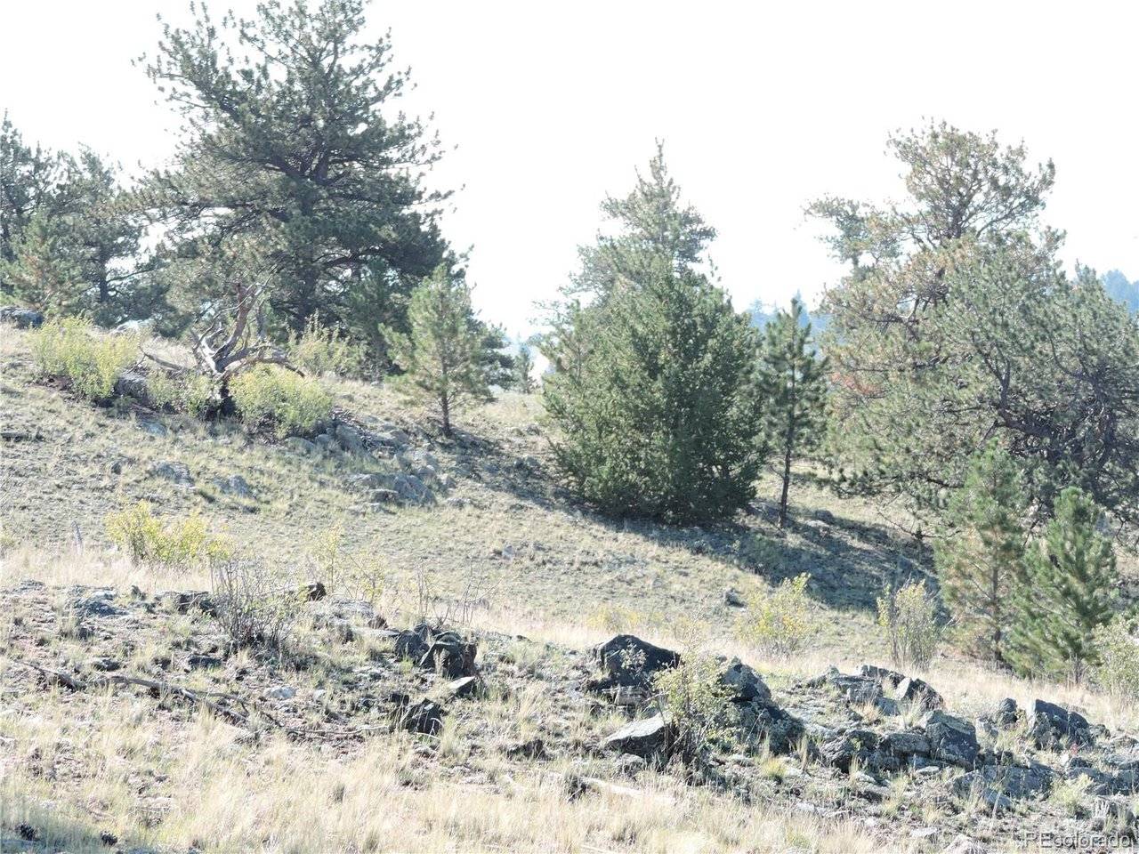640 Arapaho, Hartsel, CO 80449