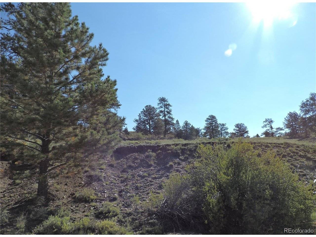 640 Arapaho, Hartsel, CO 80449